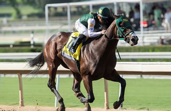 Justify, Mendelssohn And Magnum Moon Top The Betting Boards