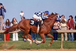 Secretariat