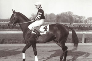 War Admiral